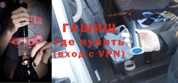 индика Мамадыш