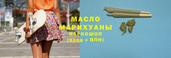 индика Мамадыш