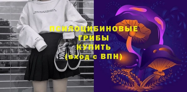 МДПВ Остров