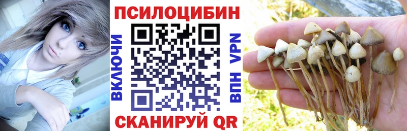 Псилоцибиновые грибы Cubensis  KRAKEN tor  площадка наркотические препараты  Севск 